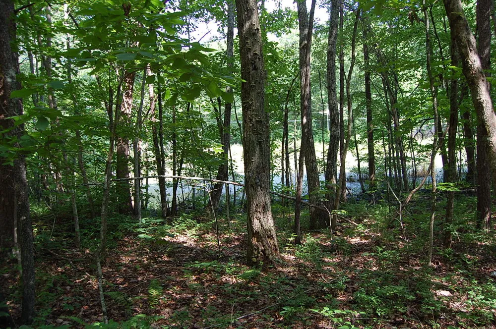 57 Hugh Allison Road Pikeville, TN 37367