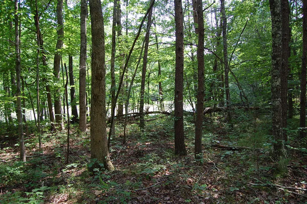 57 Hugh Allison Road Pikeville, TN 37367
