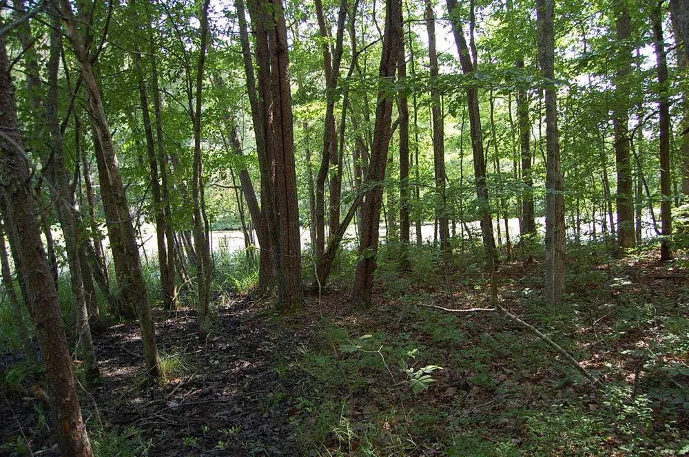 57 Hugh Allison Road Pikeville, TN 37367