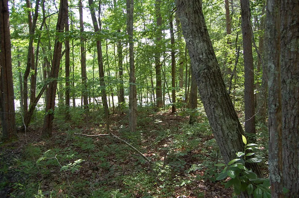 57 Hugh Allison Road Pikeville, TN 37367