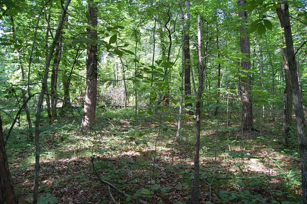 57 Hugh Allison Road Pikeville, TN 37367