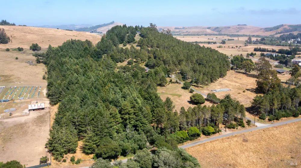1187 Tannery Creek Road Bodega, CA 94922