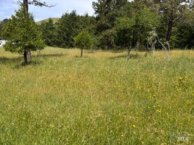 1187 Tannery Creek Road Bodega, CA 94922