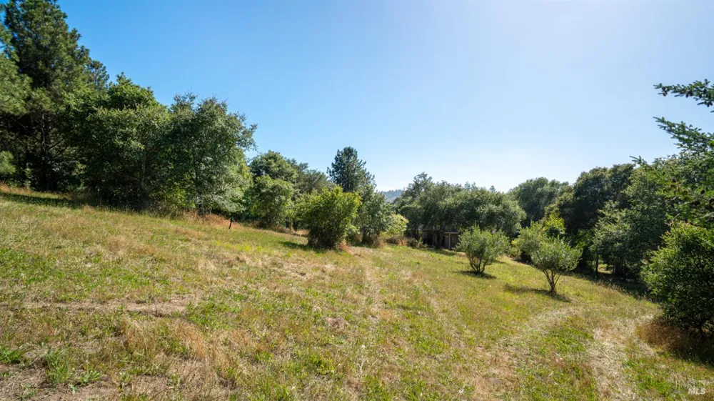 1187 Tannery Creek Road Bodega, CA 94922