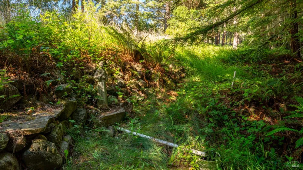 1187 Tannery Creek Road Bodega, CA 94922