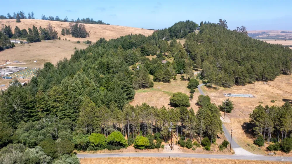 1187 Tannery Creek Road Bodega, CA 94922