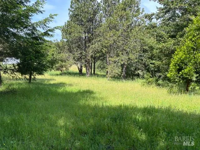 1187 Tannery Creek Road Bodega, CA 94922