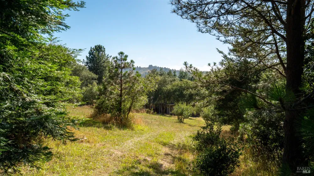 1187 Tannery Creek Road Bodega, CA 94922