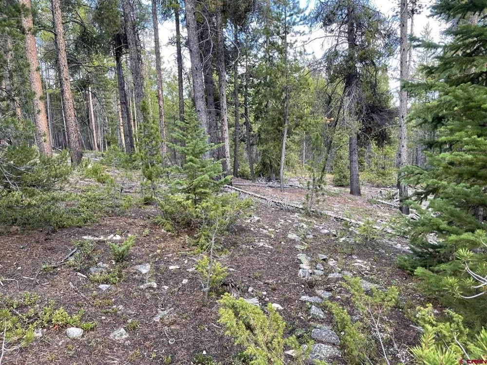 Charlie's Challenge Road Pitkin, CO 81241