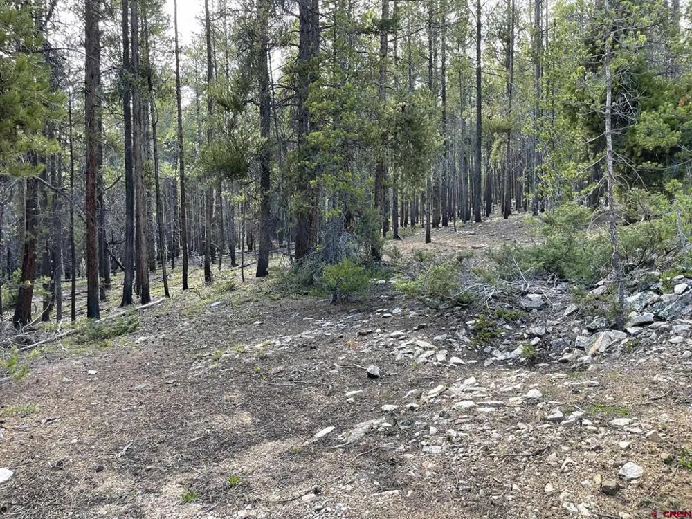 Charlie's Challenge Road Pitkin, CO 81241