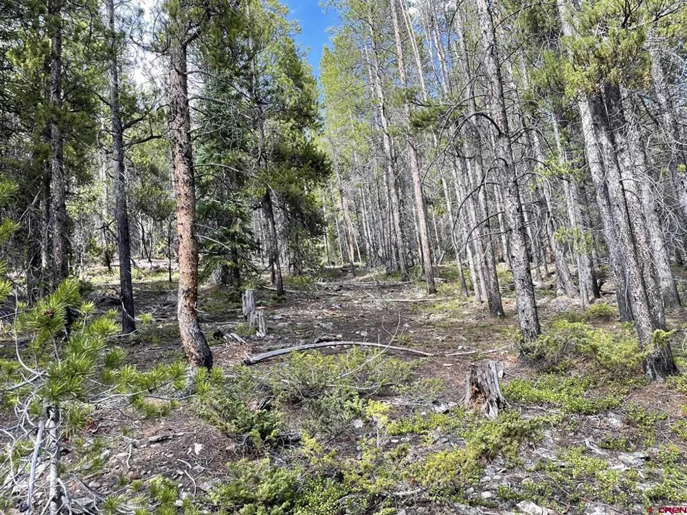 Charlie's Challenge Road Pitkin, CO 81241