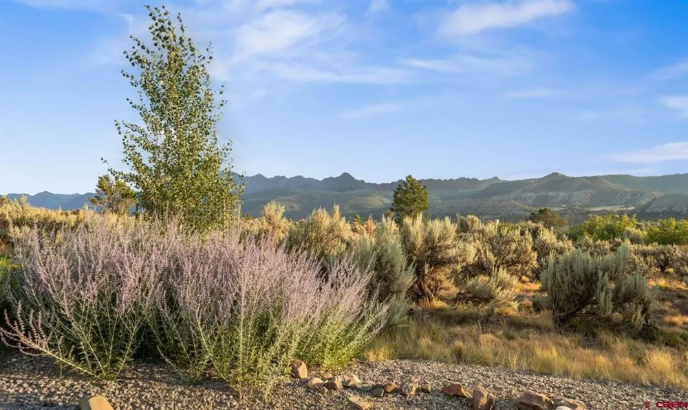 800 Golden Eagle Trail Ridgway, CO 81432