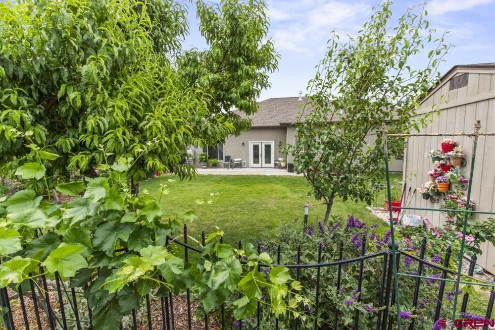 1437 Criterion Street Delta, CO 81416