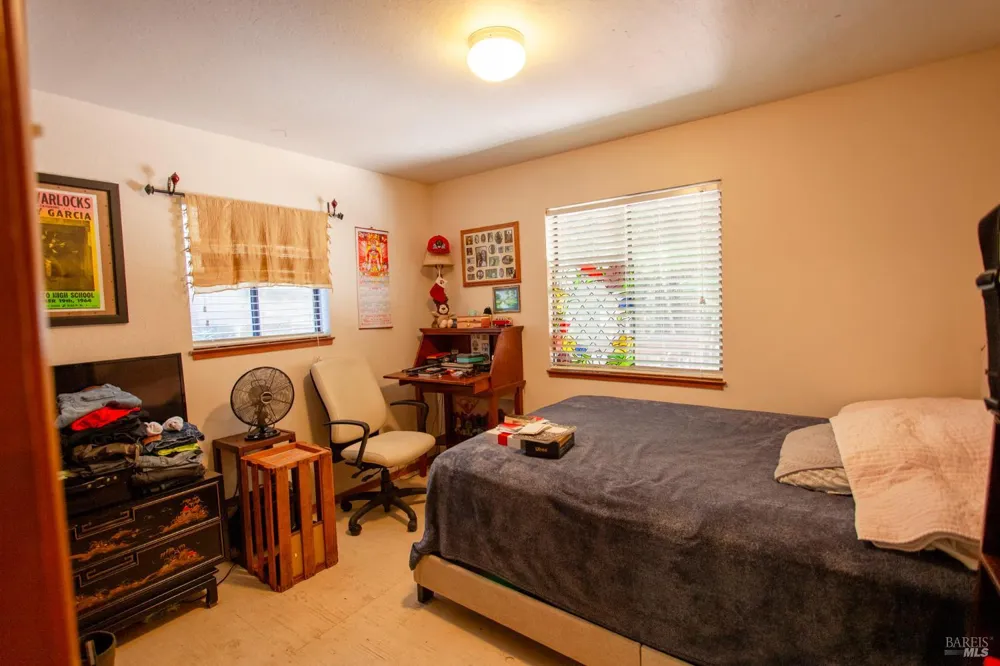 25071 Goose Lane Willits, CA 95490
