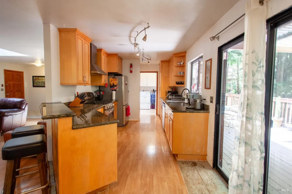 25071 Goose Lane Willits, CA 95490