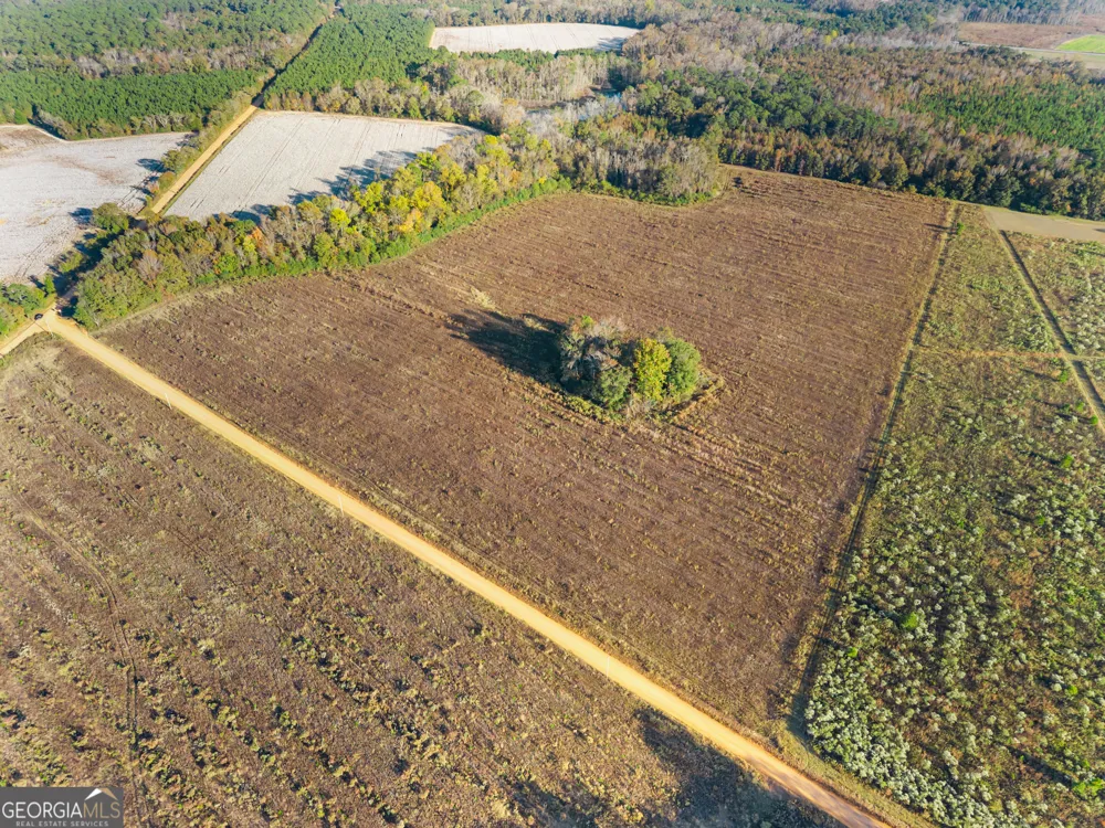 0 Waters LN Claxton, GA 30417