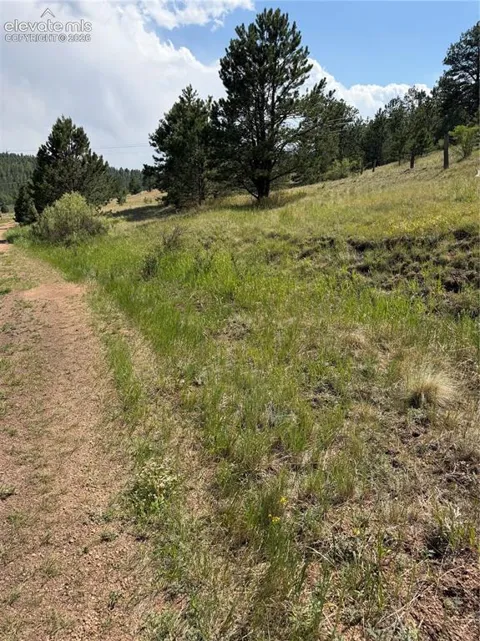39 Rabbil Creek Trail