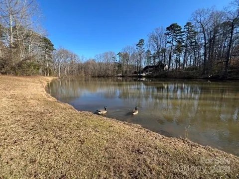 7100 Ridge Lane Road