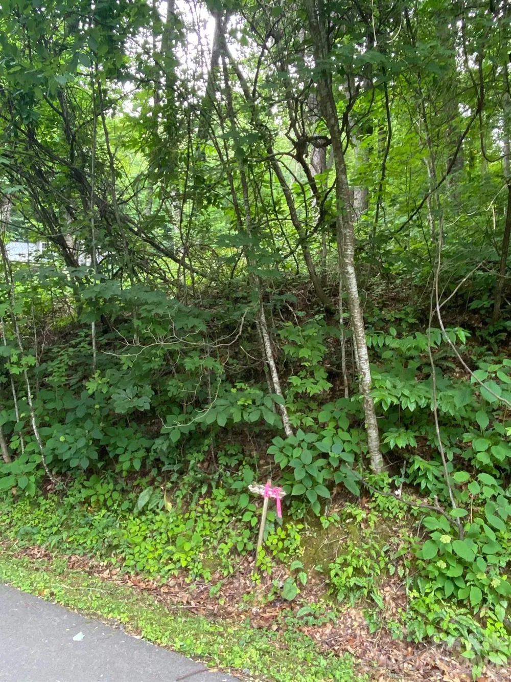 00 Aaron Way #21 Waynesville, NC 28786