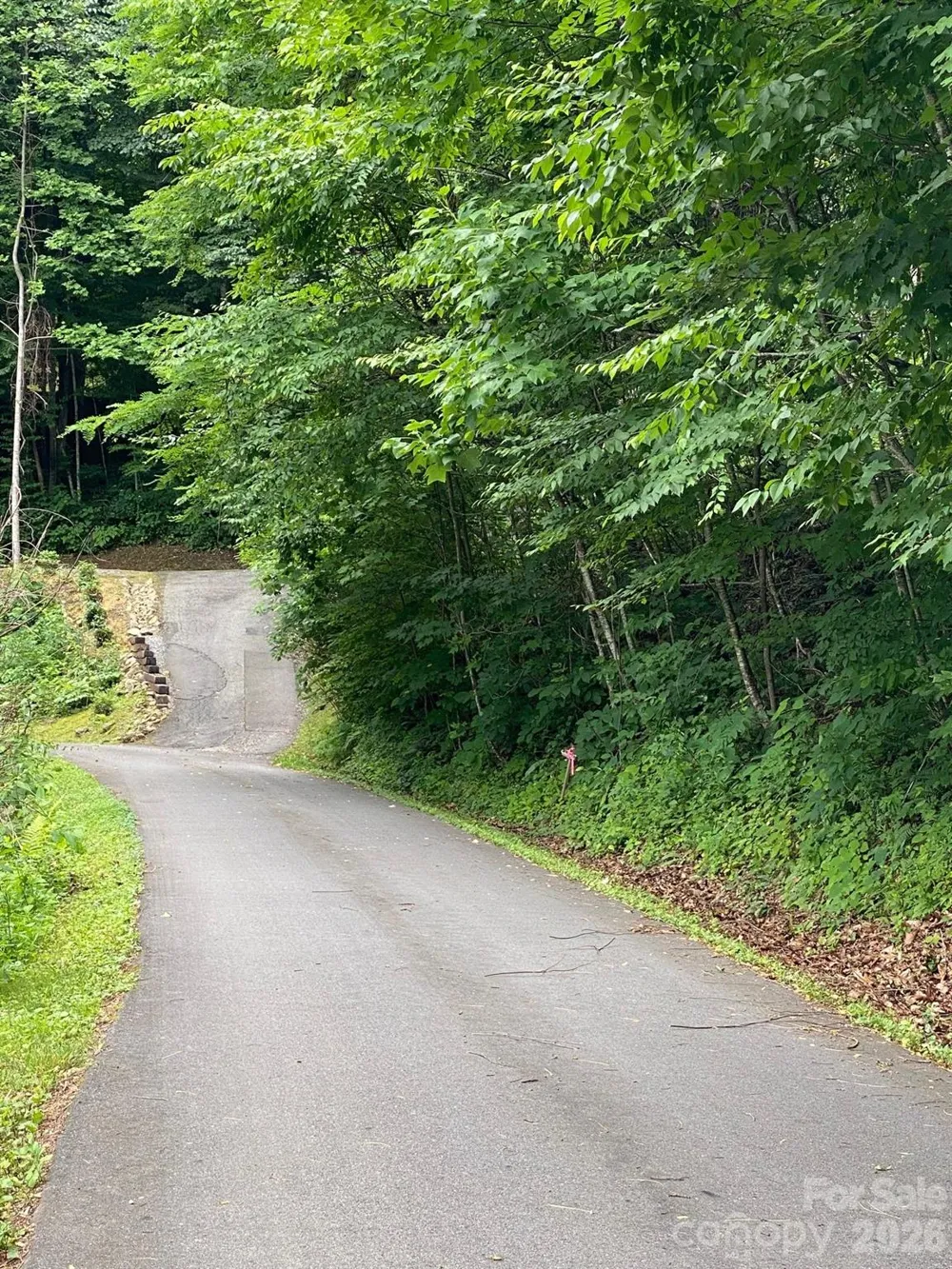 00 Aaron Way #21 Waynesville, NC 28786