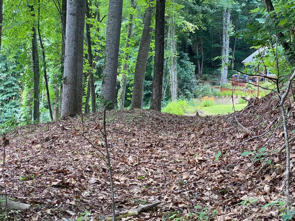 00 Aaron Way #21 Waynesville, NC 28786