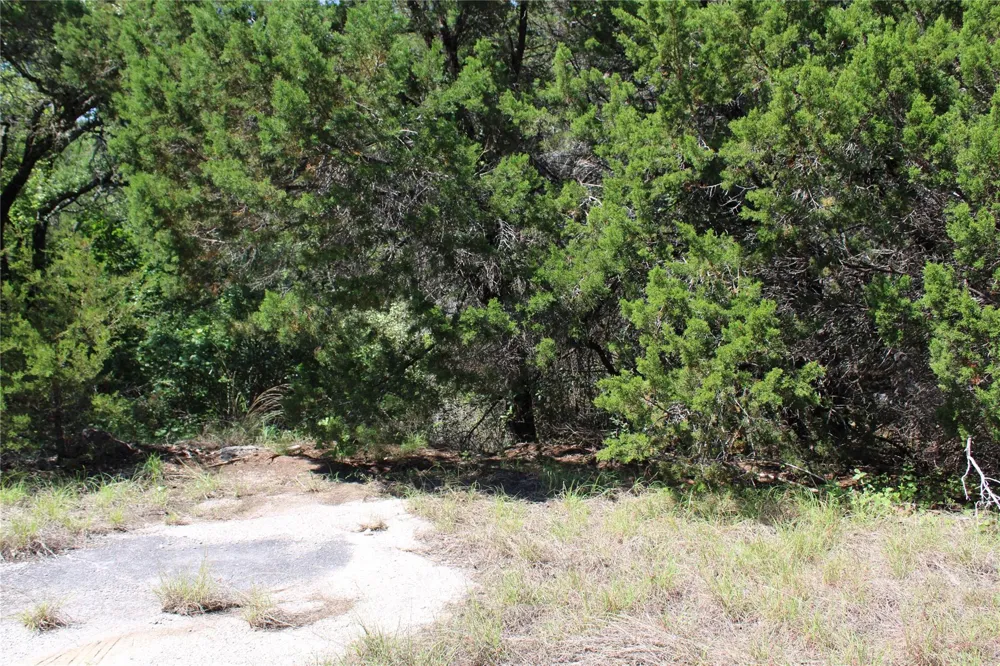 8200 Cedar Glen Cove Leander, TX 78645