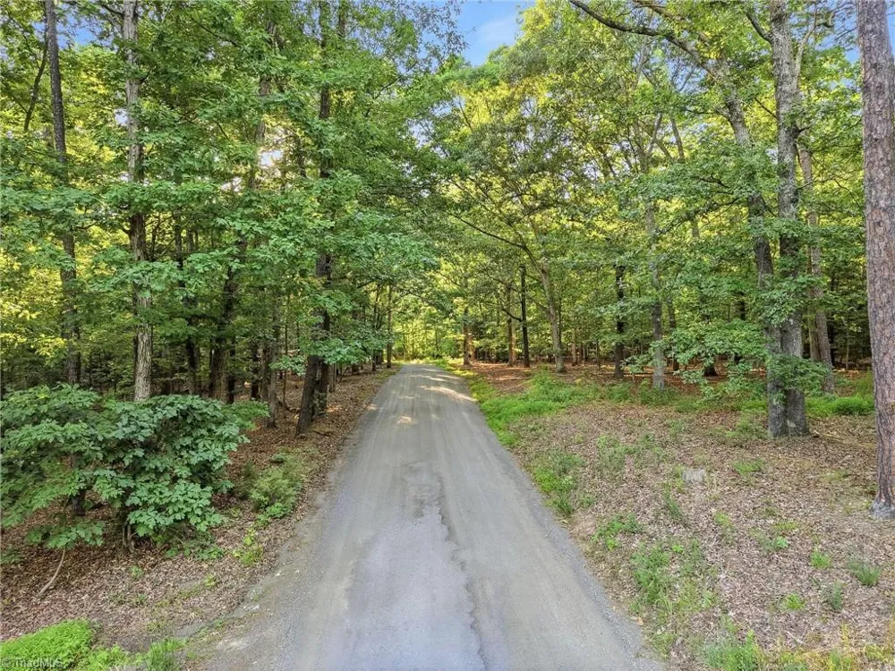 0 Roy Coppley Road Lexington, NC 27292