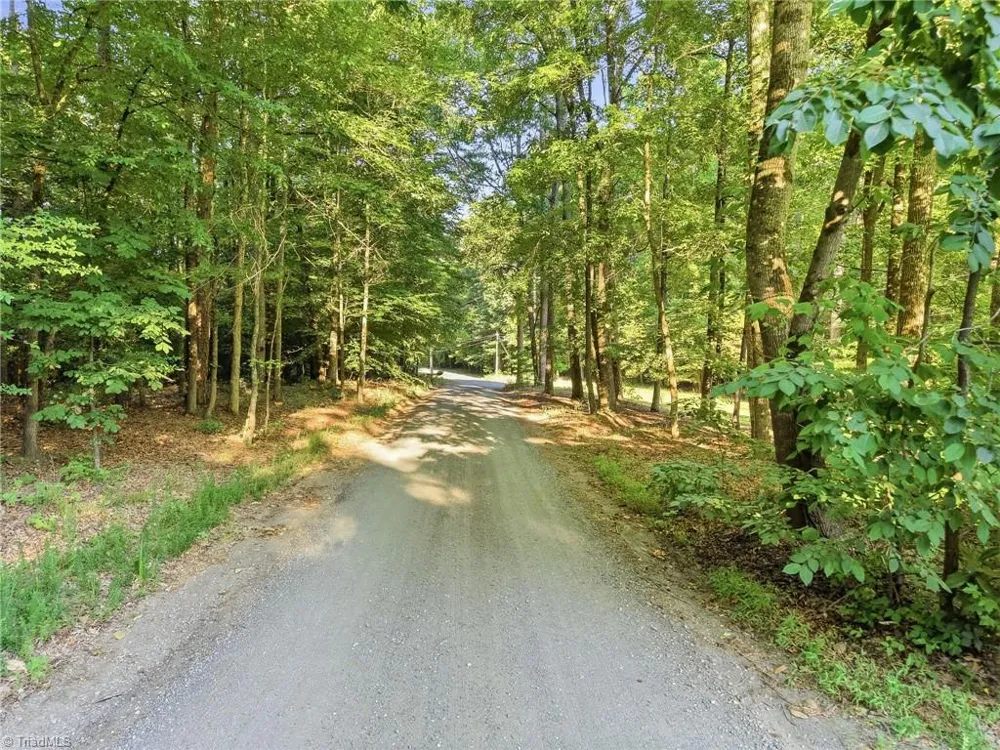 0 Roy Coppley Road Lexington, NC 27292