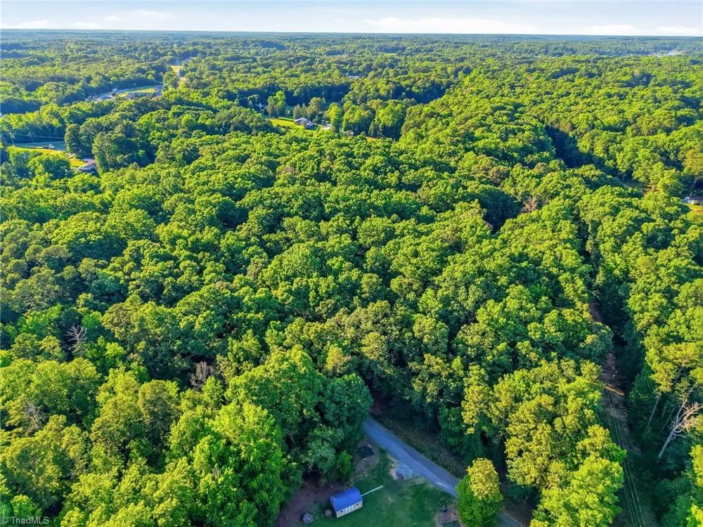 0 Roy Coppley Road Lexington, NC 27292