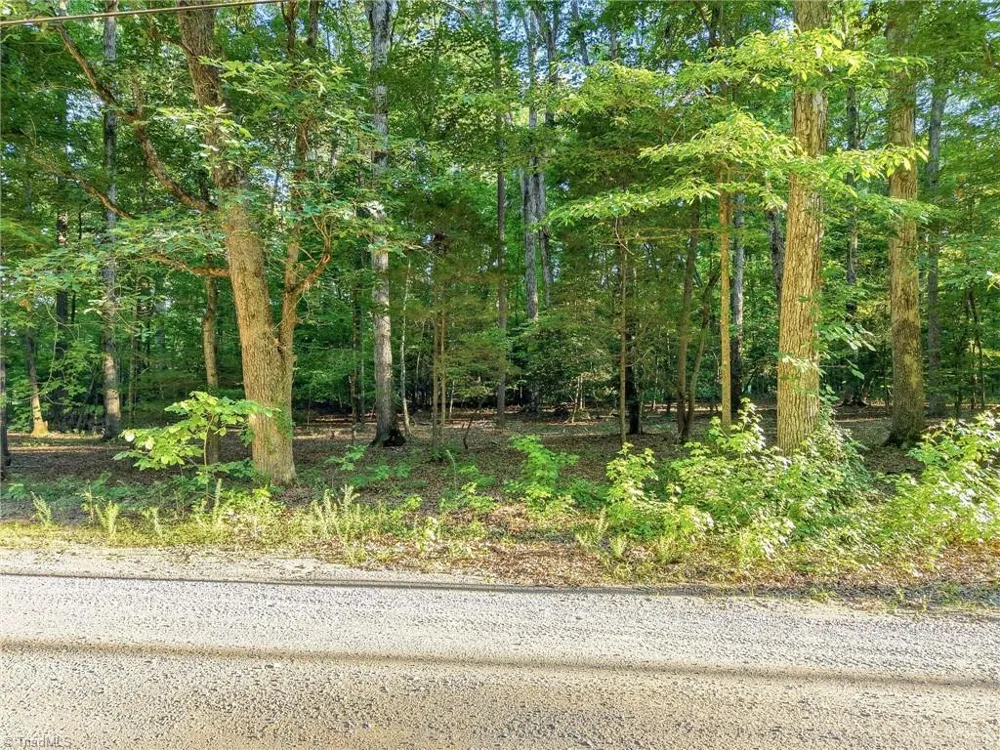 0 Roy Coppley Road Lexington, NC 27292
