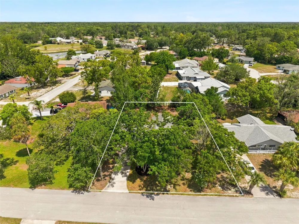 7407 DUNDEE WAY Weeki Wachee, FL 34613