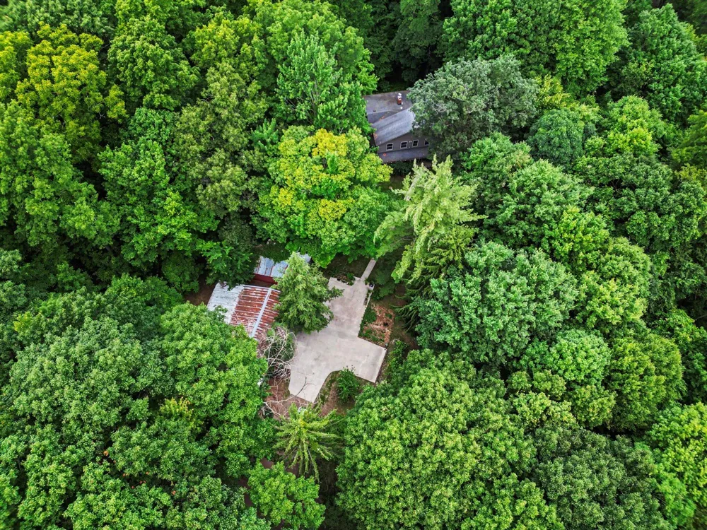 11355 108th Street SE Alto, MI 49302