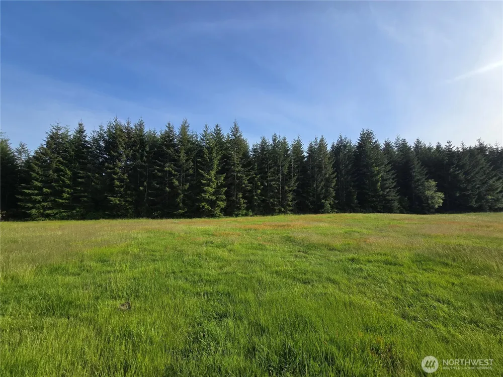 0 NKA W Satsop Road E Elma, WA 98541
