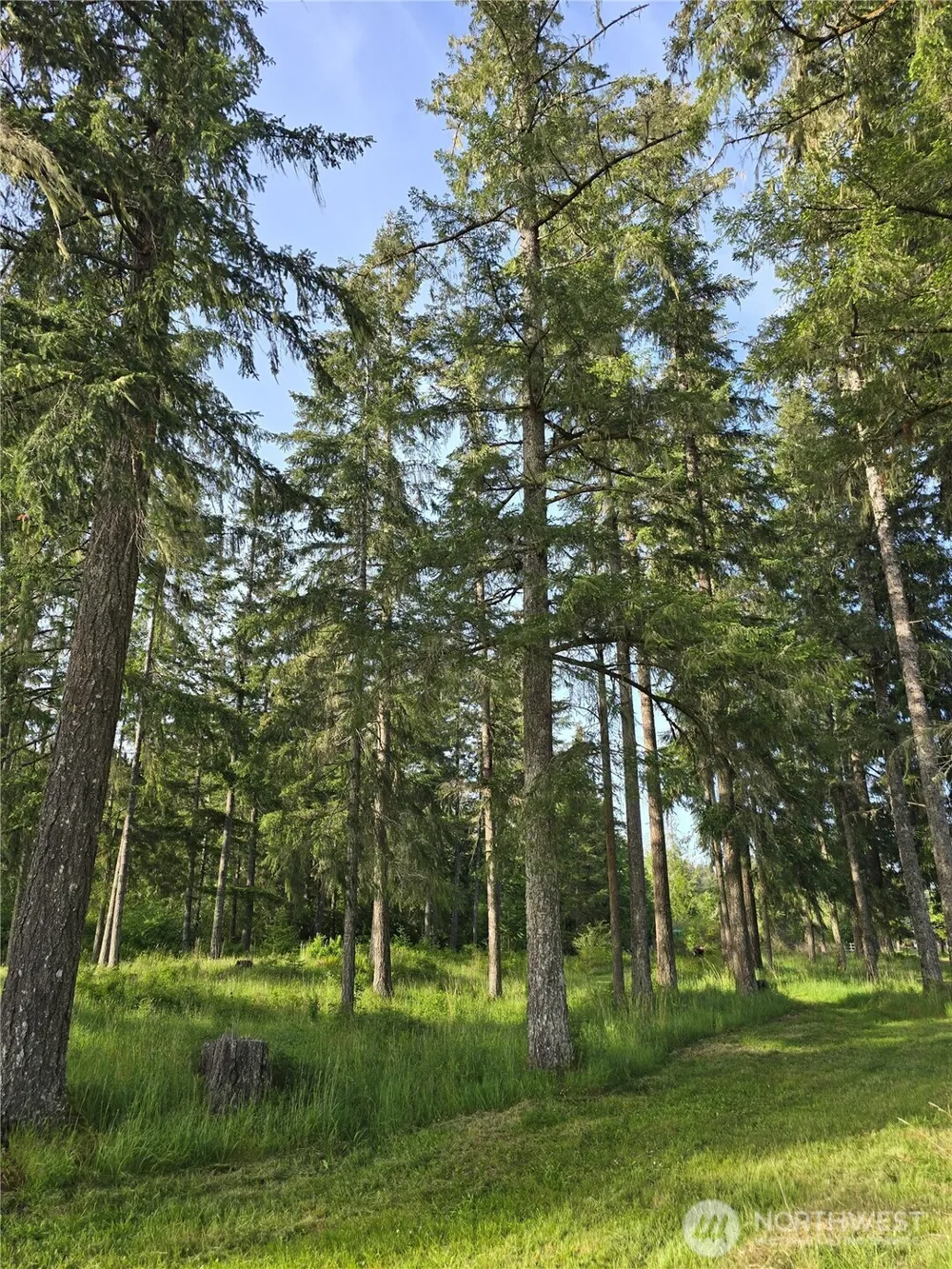 0 NKA W Satsop Road E Elma, WA 98541