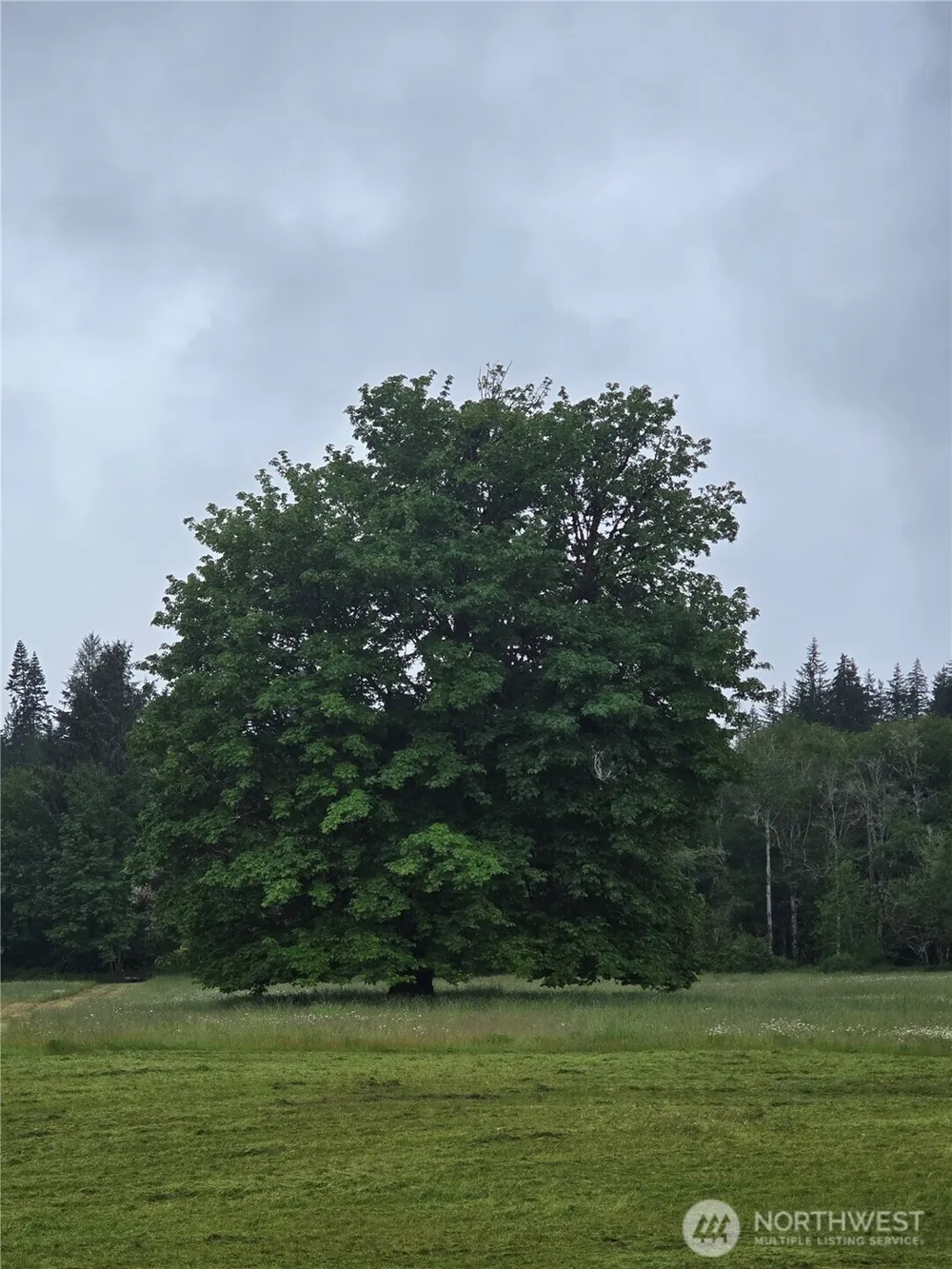 0 NKA W Satsop Road E Elma, WA 98541