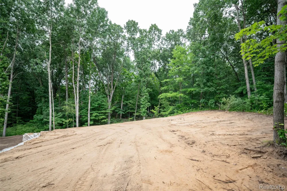 16085 Catalpa Ridge Drive Holly Township, MI 48442