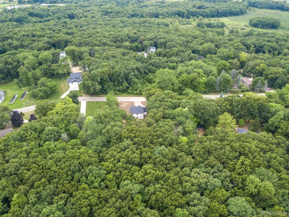 16085 Catalpa Ridge Drive Holly Township, MI 48442