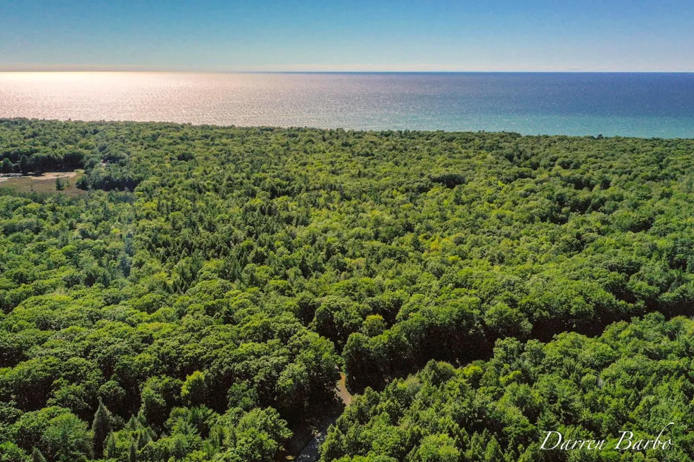 4561 Pine Avenue Mears, MI 49436