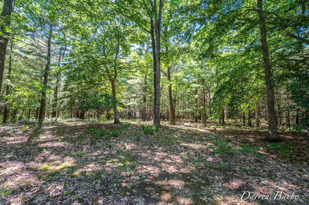 4561 Pine Avenue Mears, MI 49436