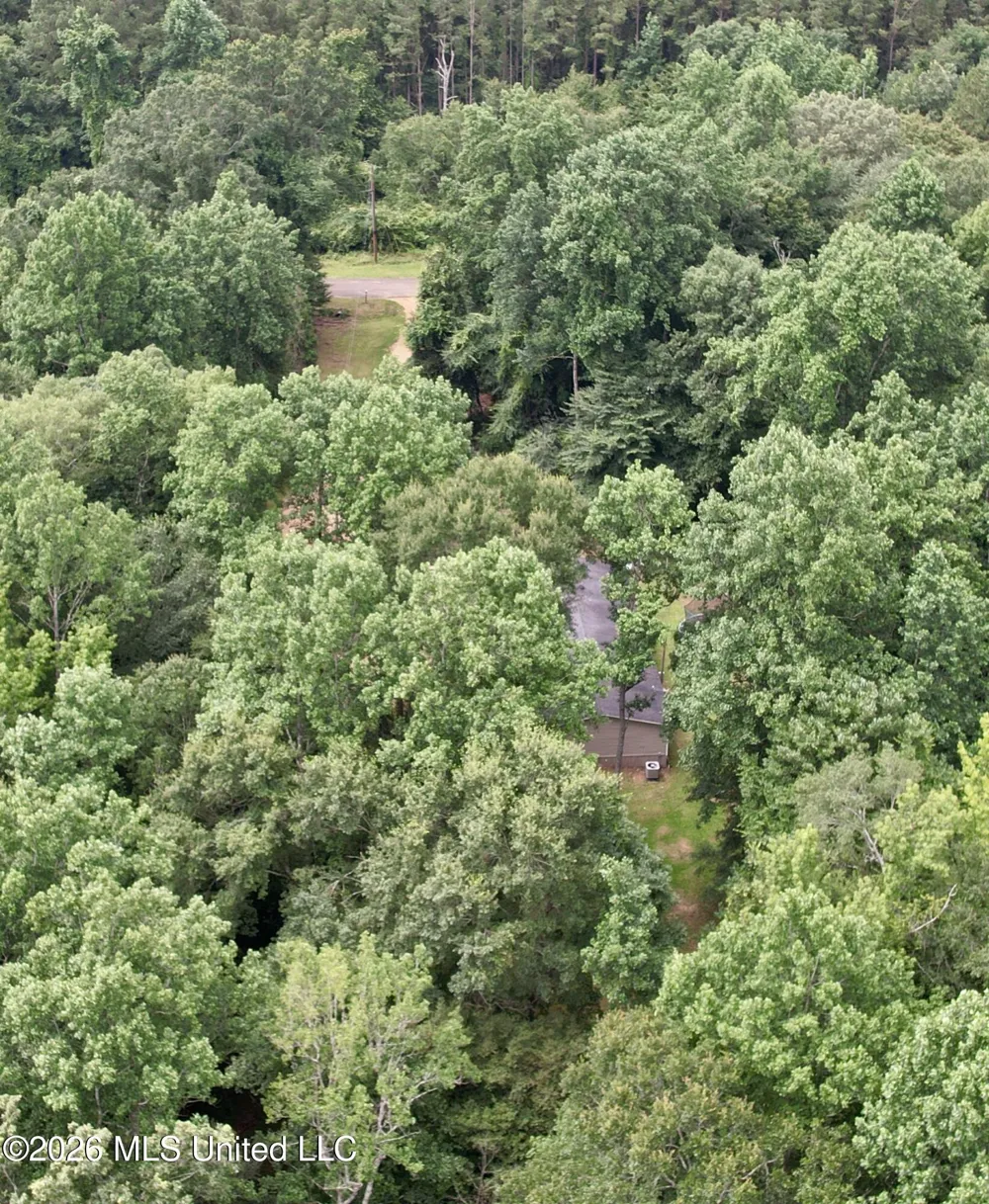 1167 Todd Road Summit, MS 39666
