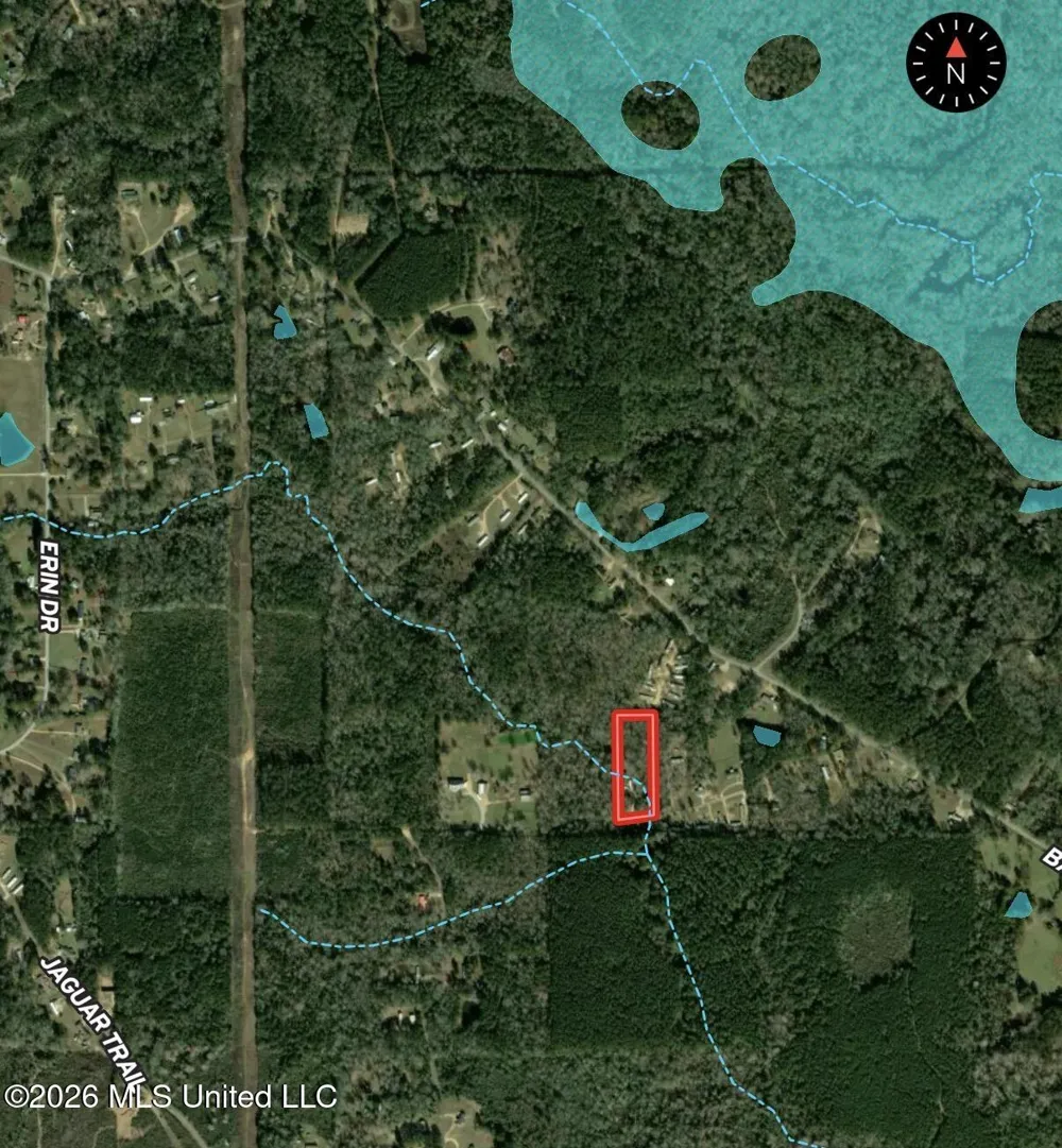 1167 Todd Road Summit, MS 39666