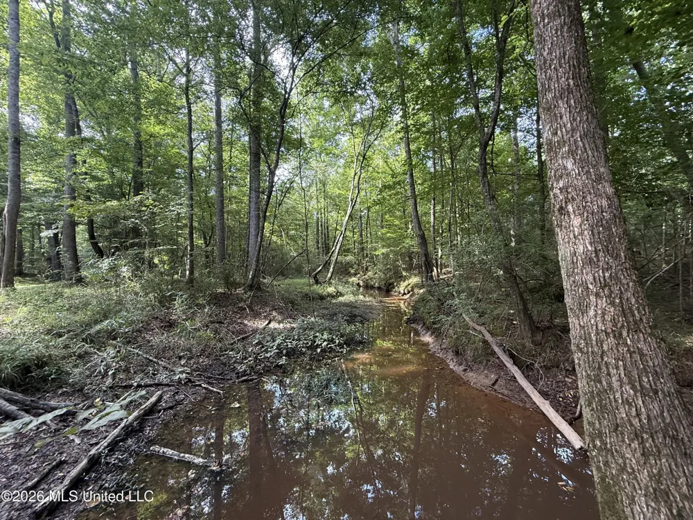 1167 Todd Road Summit, MS 39666