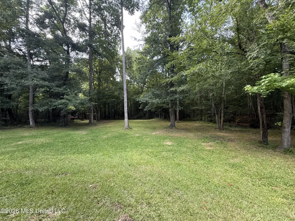 1167 Todd Road Summit, MS 39666