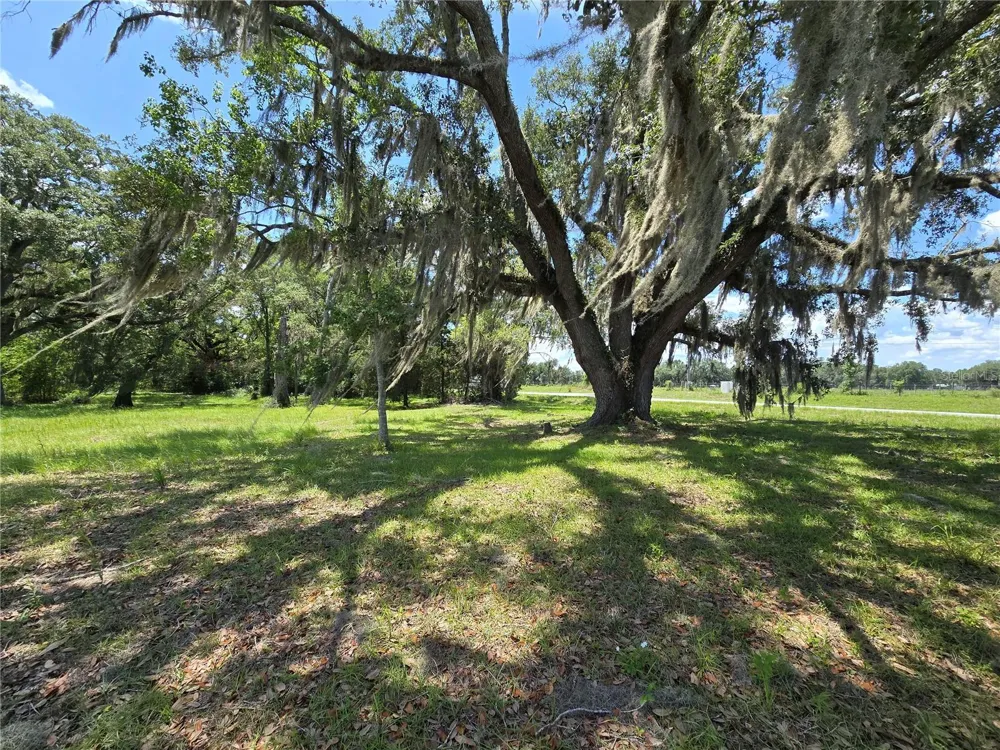 7563 SE COUNTY ROAD 405 Branford, FL 32008