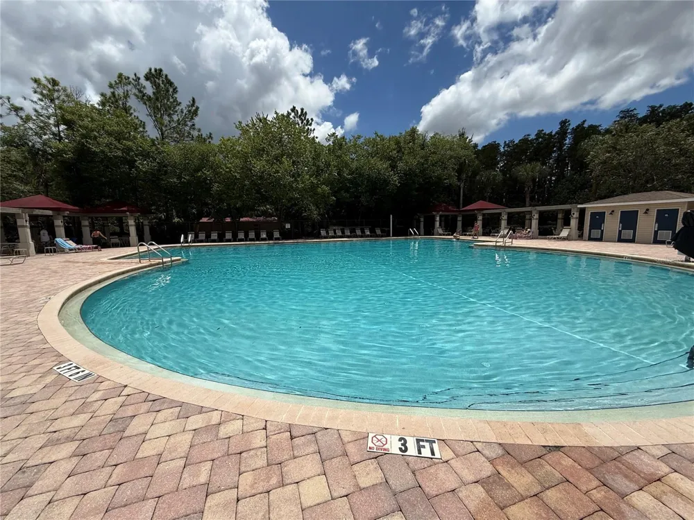 30316 ELDERWOOD DRIVE Wesley Chapel, FL 33543