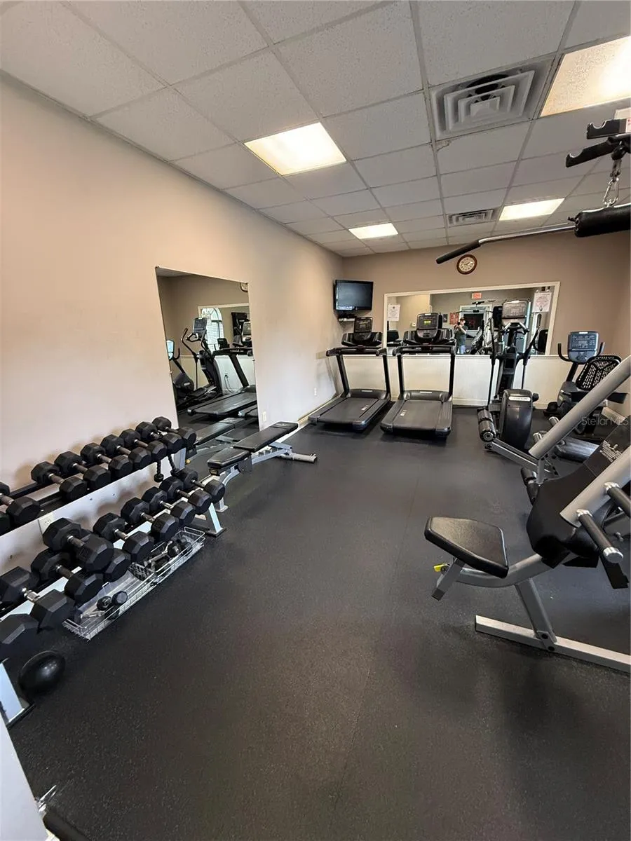 30316 ELDERWOOD DRIVE Wesley Chapel, FL 33543