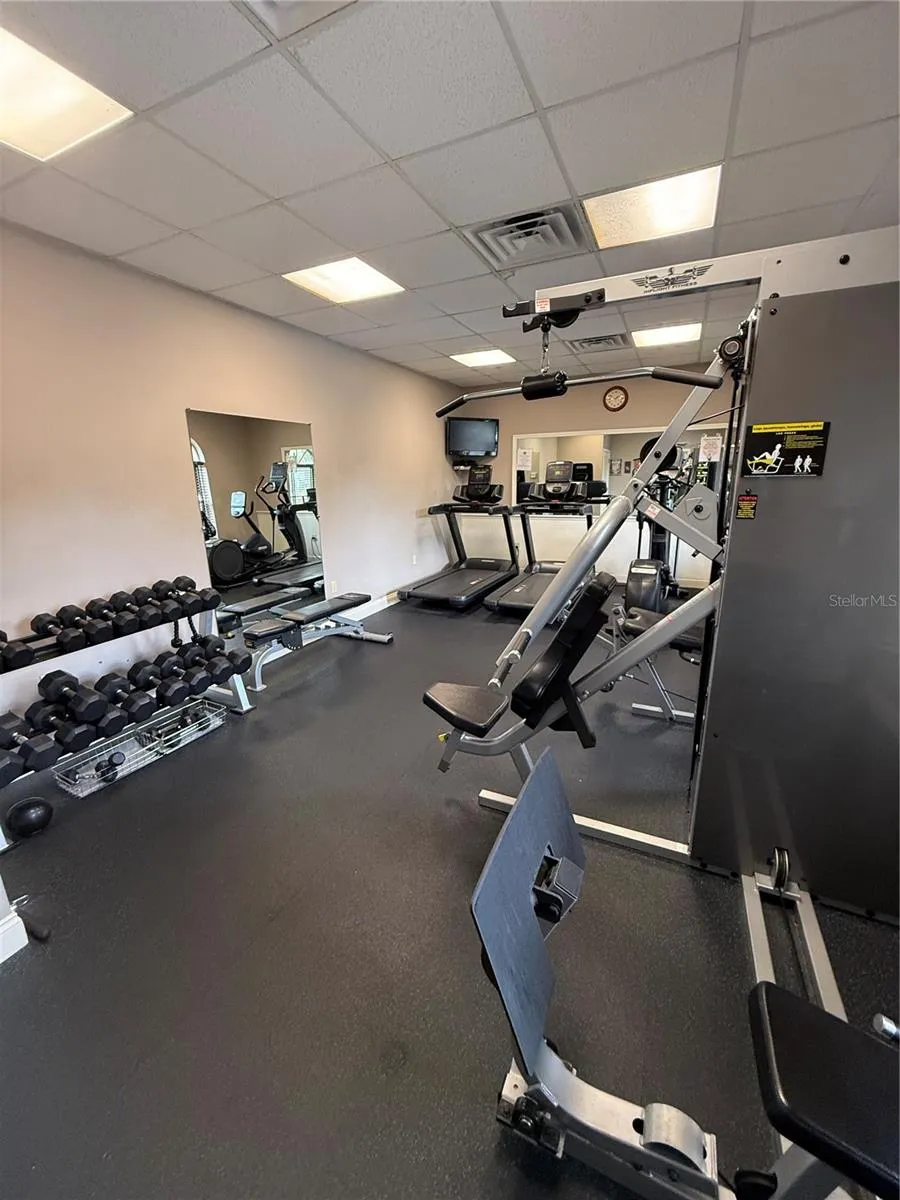 30316 ELDERWOOD DRIVE Wesley Chapel, FL 33543