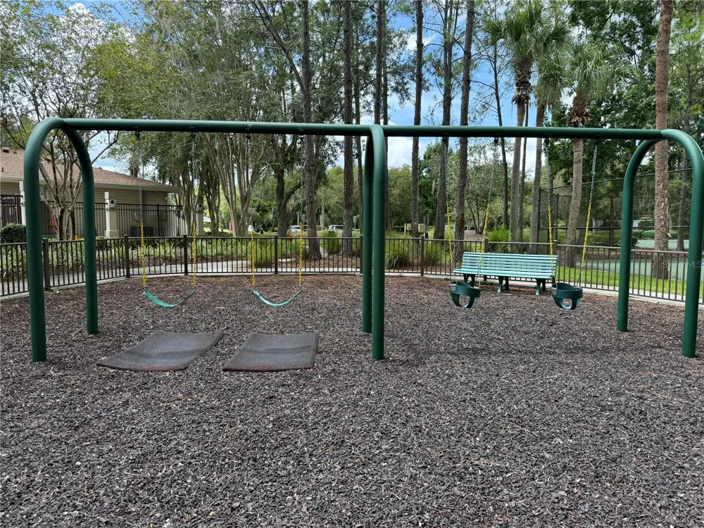 30316 ELDERWOOD DRIVE Wesley Chapel, FL 33543
