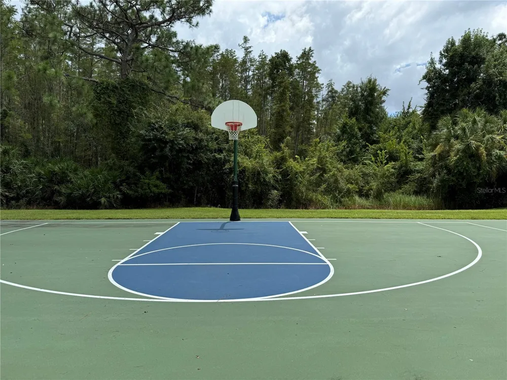 30316 ELDERWOOD DRIVE Wesley Chapel, FL 33543