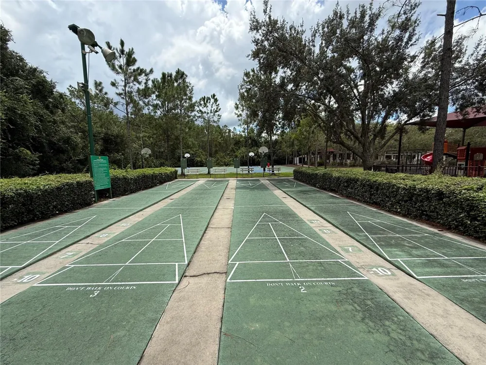 30316 ELDERWOOD DRIVE Wesley Chapel, FL 33543